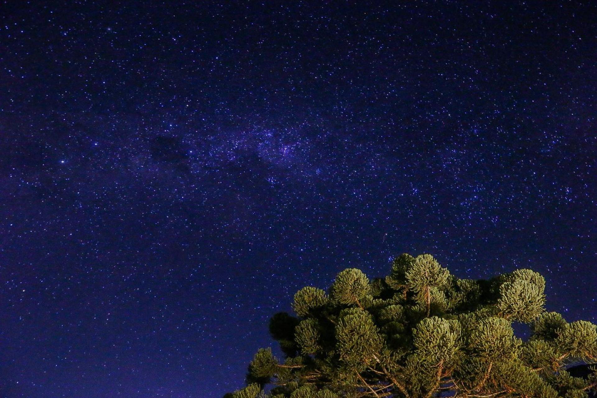 Pousada Terra Dos Passaros ساو بينتو دو سابوكاي المظهر الخارجي الصورة